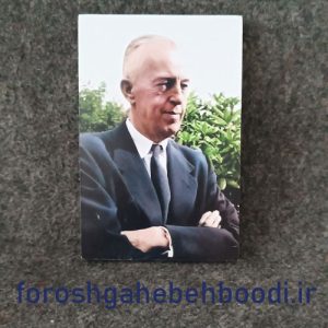 قاب عگس بیل ویلسون